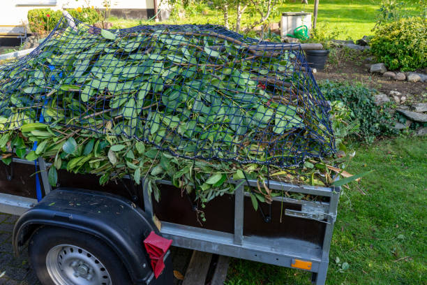 Recycling Services for Junk in Waynesville, MO